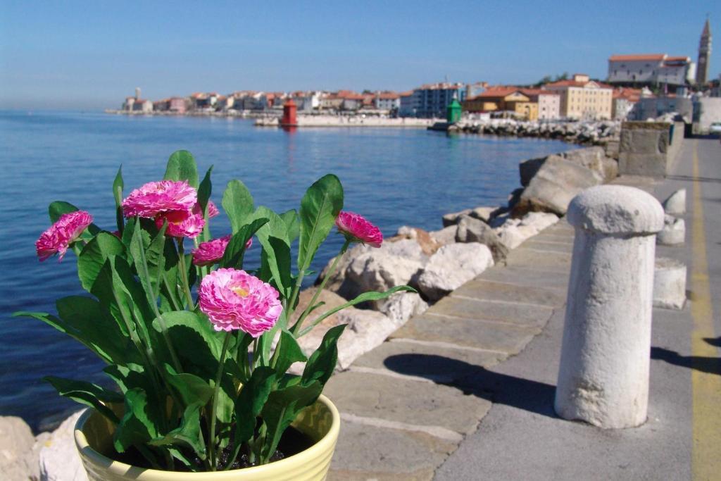 Apartments Piran Exteriör bild